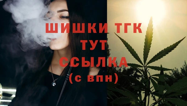 apvp Мегион