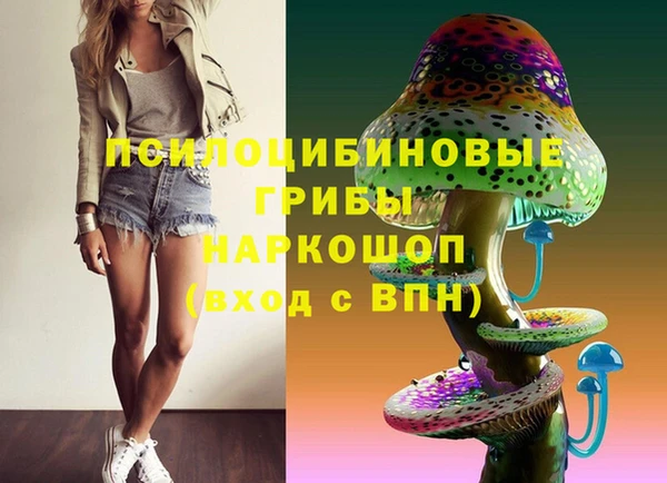 гашиш Магас