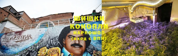 apvp Мегион