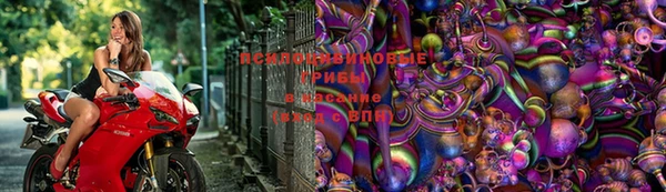 ALPHA-PVP Медвежьегорск