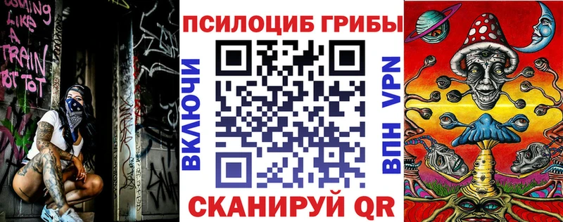 мориарти Telegram Тбилисская Псилоцибиновые грибы Psilocybine cubensis