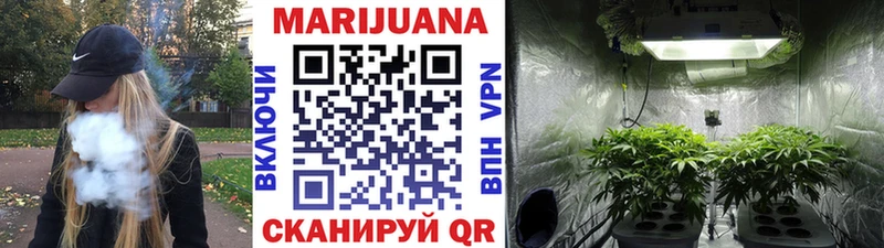 Бошки марихуана Ganja  что такое   Тбилисская 